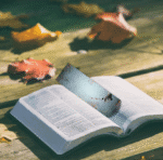 1752097379-e1752097461287